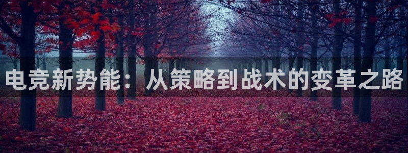 南宫电竞电竞软件：电竞新势能：从策略到战