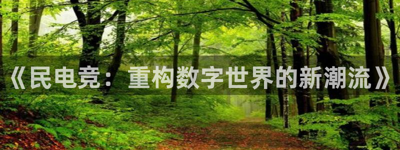 南宫电竞电竞官方网站：《民电竞：重构数字