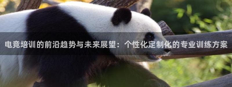 南宫电竞电竞手机官网：电竞培训的前沿趋势