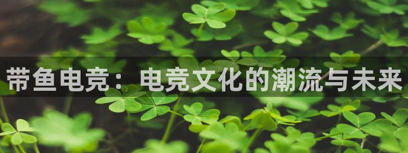 南宫电竞电竞怎么玩：带鱼电竞：电竞文化的