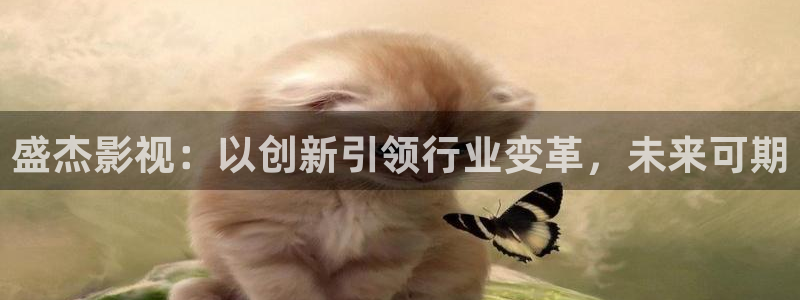 下载色板丝瓜视频