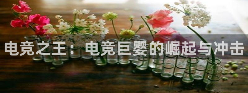 南宫电竞电竞网登录入口：电竞之王：电竞巨婴的崛起与冲击