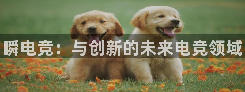 南宫电竞电竞官网下载入口