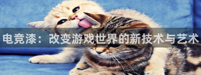 南宫电竞电竞会员日：电竞漆：改变游戏世界