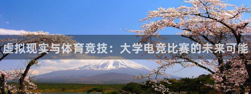 南宫电竞电竞app在哪里下载：虚拟现实与