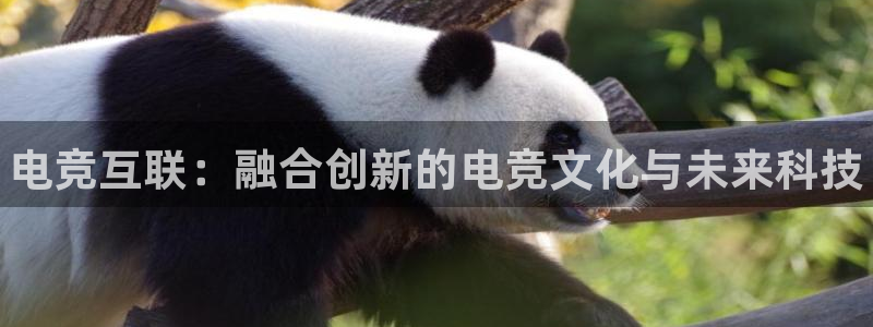 南宫电竞电竞限额：电竞互联：融合创新的电